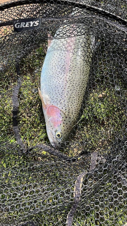 fly fishing schools fly fishing school