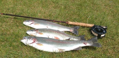 ben and ians 3 trout
